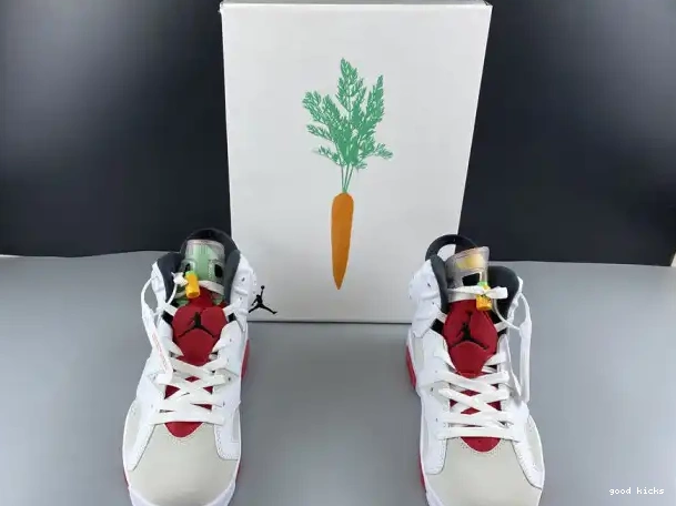 Rep Hare Air 6 Jordan CT8529-062 0215