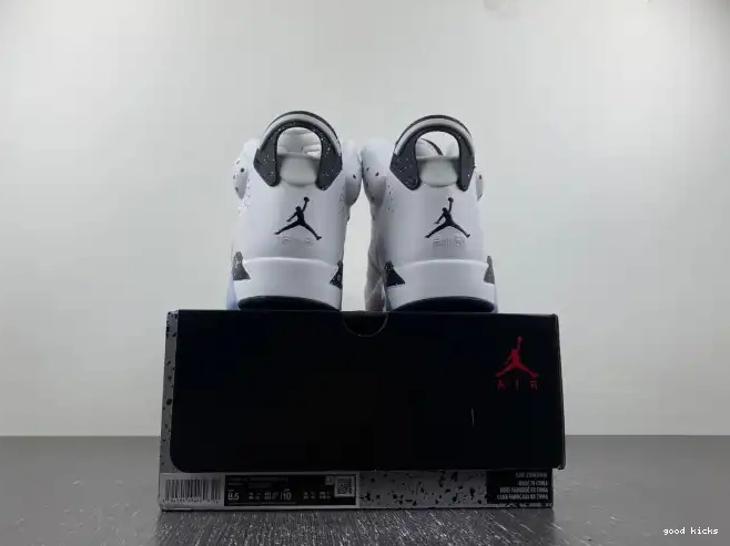 Rep Jordan CT8529-112 Oreo Air 6 Reverse 0222