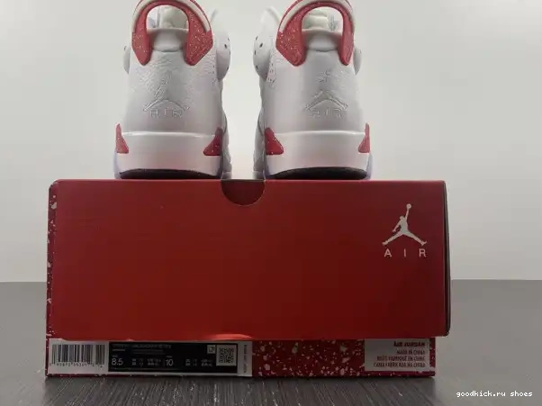 Rep 6 CT8529-162 Retro Hare Jordan 0216